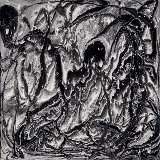 Anomie Digital Download